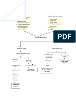 PATHWAY Partus Prematus