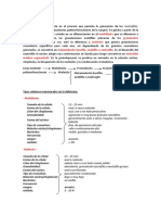 La Granulopoyesis PDF