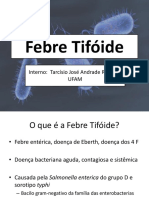 Febre Tifóide