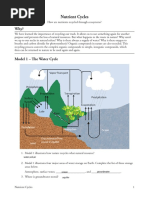 Kami Export - Omotayo Animashaun - 22 Nutrient Cycles-S PDF