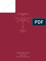 Emersus Brochure PDF