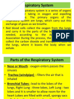 Respiratory Deases