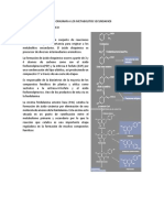 Rutas Metabolicas Que Originan A Los Metabolitos Secundarios