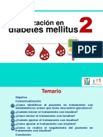 PDF Tutorial Insulinizacion