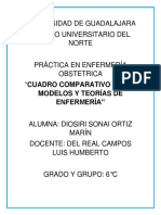 Teorías y Modelos de Enfermería en La Atención Ginecoobstétrica