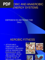 Aerobic and Anaerobic Training