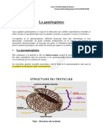 Embryo23 03-Gametogenese