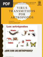 Virus Transmitidos Por Artropodos