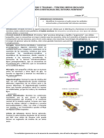 Guia Neuronas y Neuroglias.