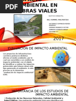 Impacto Ambiental en Obras Viales