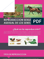 Reproduccion Sexual y Asexual de Los Seres Vivos