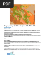 Mapping and Geographic Information Systems (GIS) : What Is GIS?