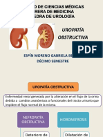 Uropatía Obstructiva - Espín Moreno Gabriela Beatriz - Heg