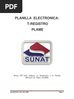 Planilla Electronica, T - Registro y Plame