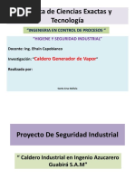 Seguridad Industrial - Calderos