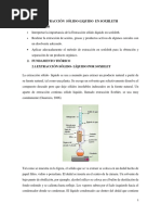 Informe 4 Extracción Sólido 1