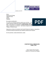 Carta Constitucion Cphs