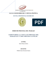 Medida Cautelar PDF