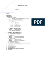 Instrucciones para Elaborar La Tesis Ingeniería