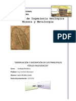 5 Trabajo Observacion y Descripcion de Los Principales Fosiles Paleozoicos