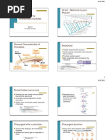 Z3 Chordata PDF