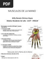 Arterias Mano MR3