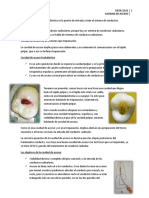 Cavidad de Acceso: ENDODONCIA