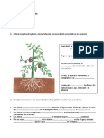 Evaluación de Ciencias Naturales