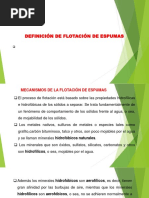 1 - Flotacion de Minerales - Clase 2 Año