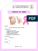 Cáncer de Mama Terminado