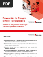 2.1. - Gestión de Riesgos en La Metalurgia Extractiva