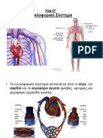 Κυκλοφορικό Σύστημα 