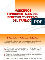 Principios Del Derecho Colectivo