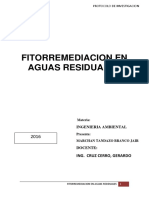 Fitorremediacion en Aguas Residuales