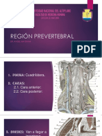 Region Prevertebral EXPOSICION