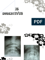 Foto Tractus Digestivus