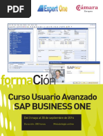 Catálogo 'SAP Business One'