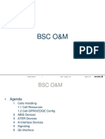 BSC Presentation Venezuela