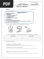 Complementaria 4-Guia de Refuerzo