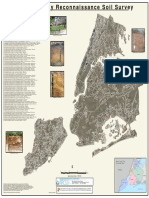 NYC Soil Map