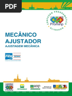 Ajustador Mecanico Prominp