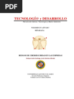 Riesgos de Ciberseguridad en Las Empresas