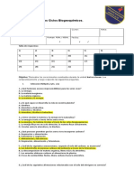 Prueba de Impactos en Los Ciclos 1 Medio Correccion