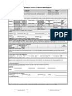 Formato N 04 Informe de Castigo de Creditos Mayores A 3 UIT