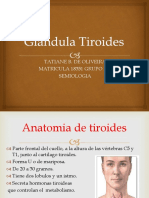 Glandula Tiroides