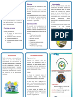 Triptico Inpacto Ambiental