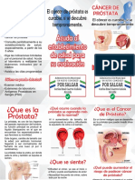 Plegable Cáncer de Próstata