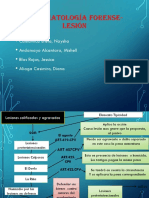 Mapa Traumatologia Forense