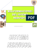 Malformaciones Del Sistema Nervioso