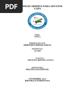 Tarea 1 Practica Docente III 1